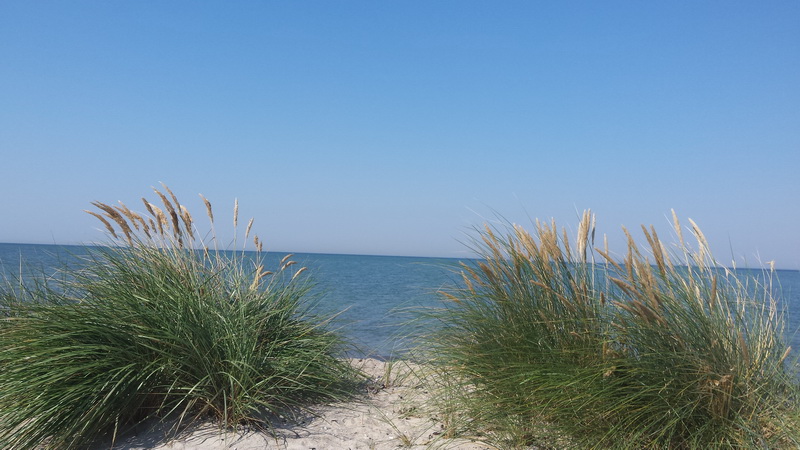 Blick auf den Fehmarner Strand